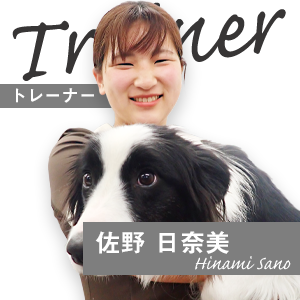 佐野 日奈美